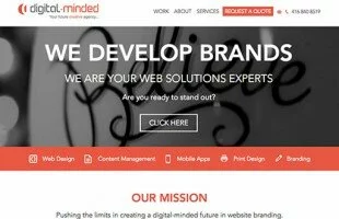 Digital-Minded Web Solutions Experts