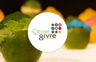 Agence Citron givré - Communication globale