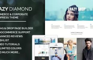 Themeforest : Crazy Diamond - Ecommerce & Corporate Theme