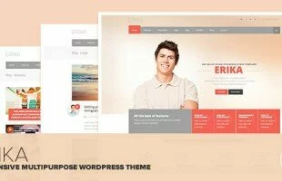 Themeforest: Erika - Responsive Multipurpose WordPress Theme