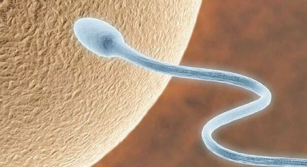 Carry your smartphone in jeans affect sperm