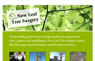 Oxford Tree Surgery