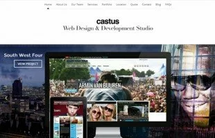 Castus Web Design & Development Studio