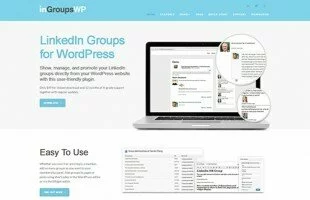 LinkedIn Groups for WP