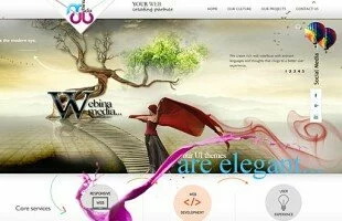 webinamedia.com