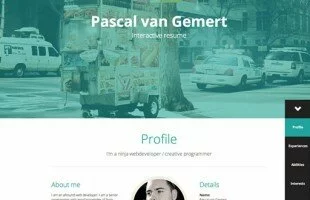 Pascal van Gemert - Interactive Resume