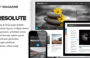 Themeforest: Resolute - Elegant Magazine & Blog Theme