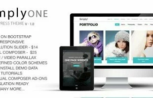 SimplyOne - One Page Responsive WordPress Theme