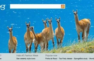 Facebook creates its own search engine and says goodbye to Bing